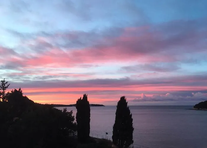 Elysium * Πούλα